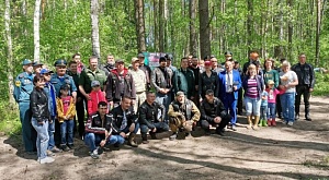 В Суздальском районе Владимирской области высадили сосны в память о павших в годы войны бойцах