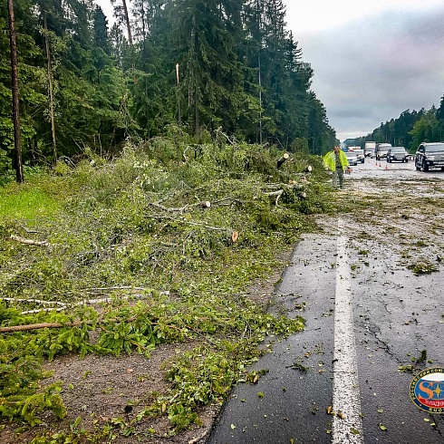 Спасатели  АСФ РОССОЮЗСПАСа Владимирской области освободили трассу М-7 от упавших деревьев