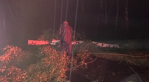 Спасатели владимирского РОССОЮЗСПРАСа на федеральной трассе М-7 убрали преградившее дорогу дерево