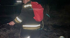 Спасатели владимирского РОССОЮЗСПАСа потушили ландшафтный пожар