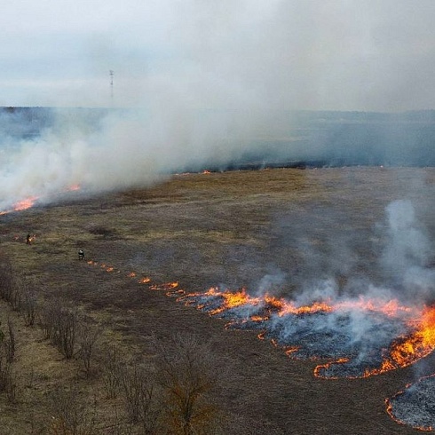 В Камешковском районе спасатели АСФ тушили огонь на площади 256 гектаров