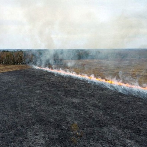 В Камешковском районе спасатели АСФ тушили огонь на площади 256 гектаров