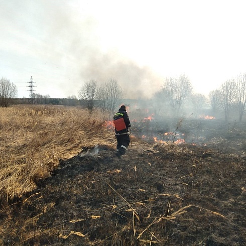 Спасатели РОССОЮЗСПАС Владимирской области тушат ландшафтные пожары