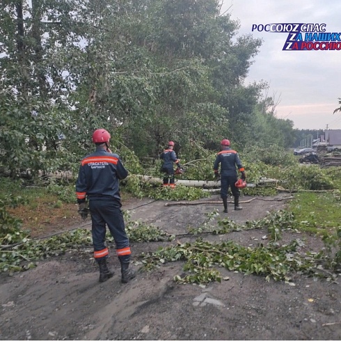 Спасательные и аварийные службы оперативно устранили последствия непогоды в городе Барнауле