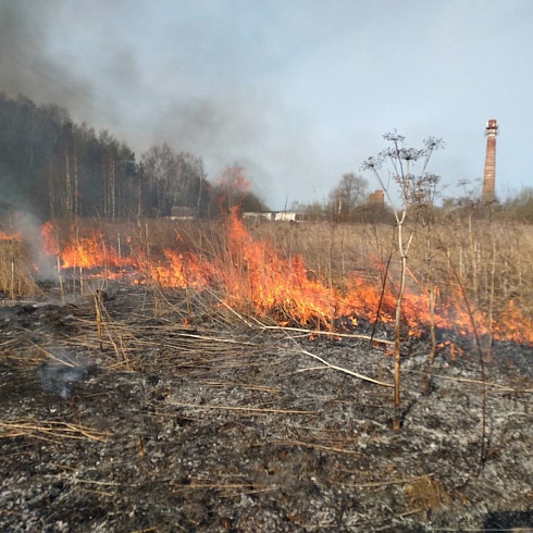 Спасатели РОССОЮЗСПАС Владимирской области тушат ландшафтные пожары